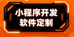 定制软件 / 小程序，找本地团队更省心！